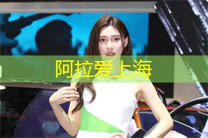 夜间市场：上海的美味体验