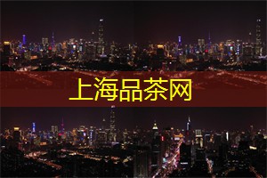 上海茶庄的定期茶会与工作坊